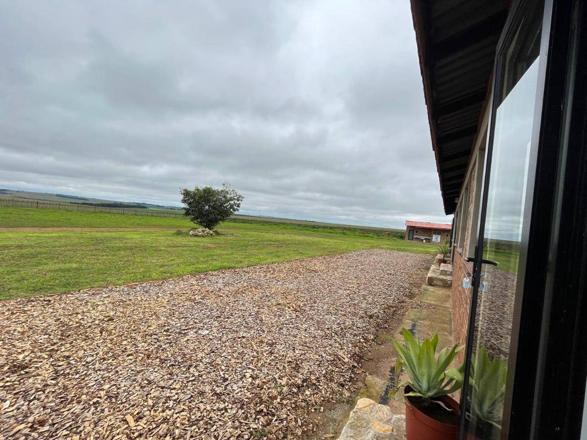 Dewdrop Farm Stay Ermelo Zewnętrze zdjęcie