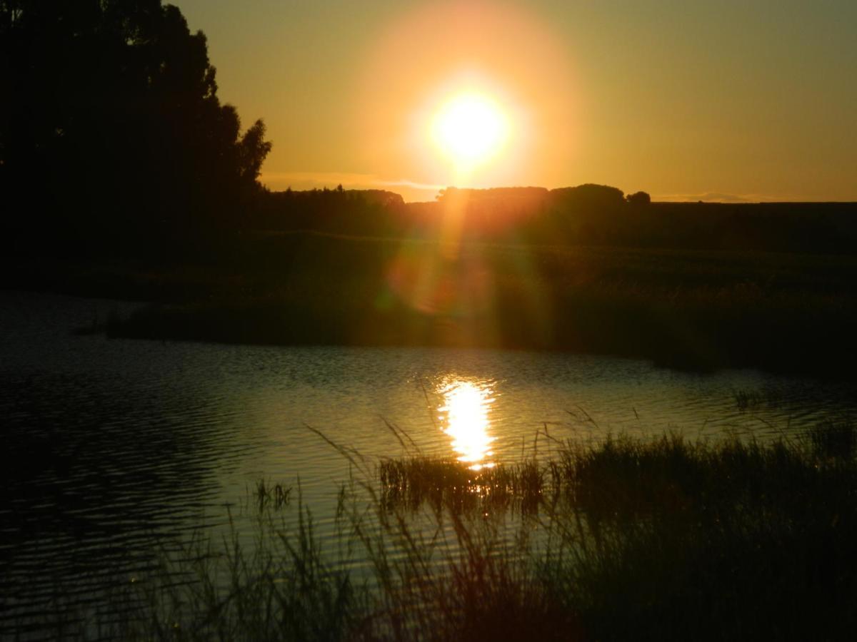 Dewdrop Farm Stay Ermelo Zewnętrze zdjęcie